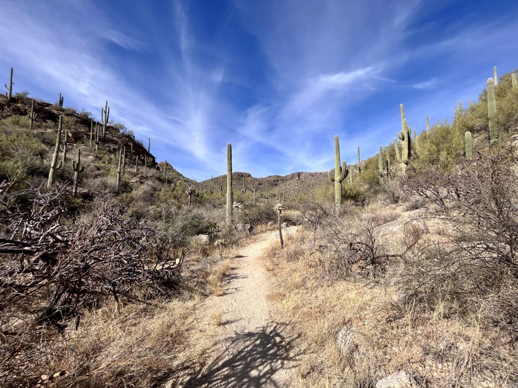 Link to recommended and popular hikes in Sabino Canyon Recreation Area.