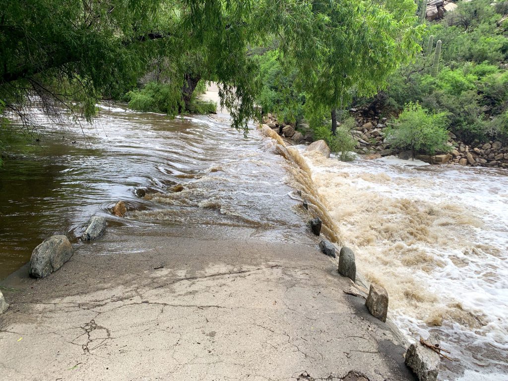 Link to information all Sabino Canyon visitors should be aware of before enjoying the canyon.