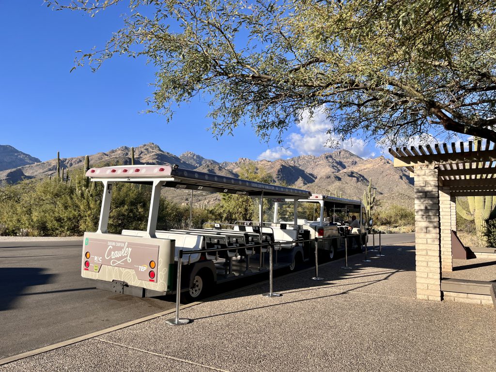 Link to information about the Sabino Canyon and Bear Canyon shuttles.